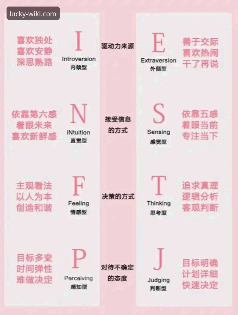 3个关键维度解析维基体育怎么样：从下载体验到功能升级的深度评测